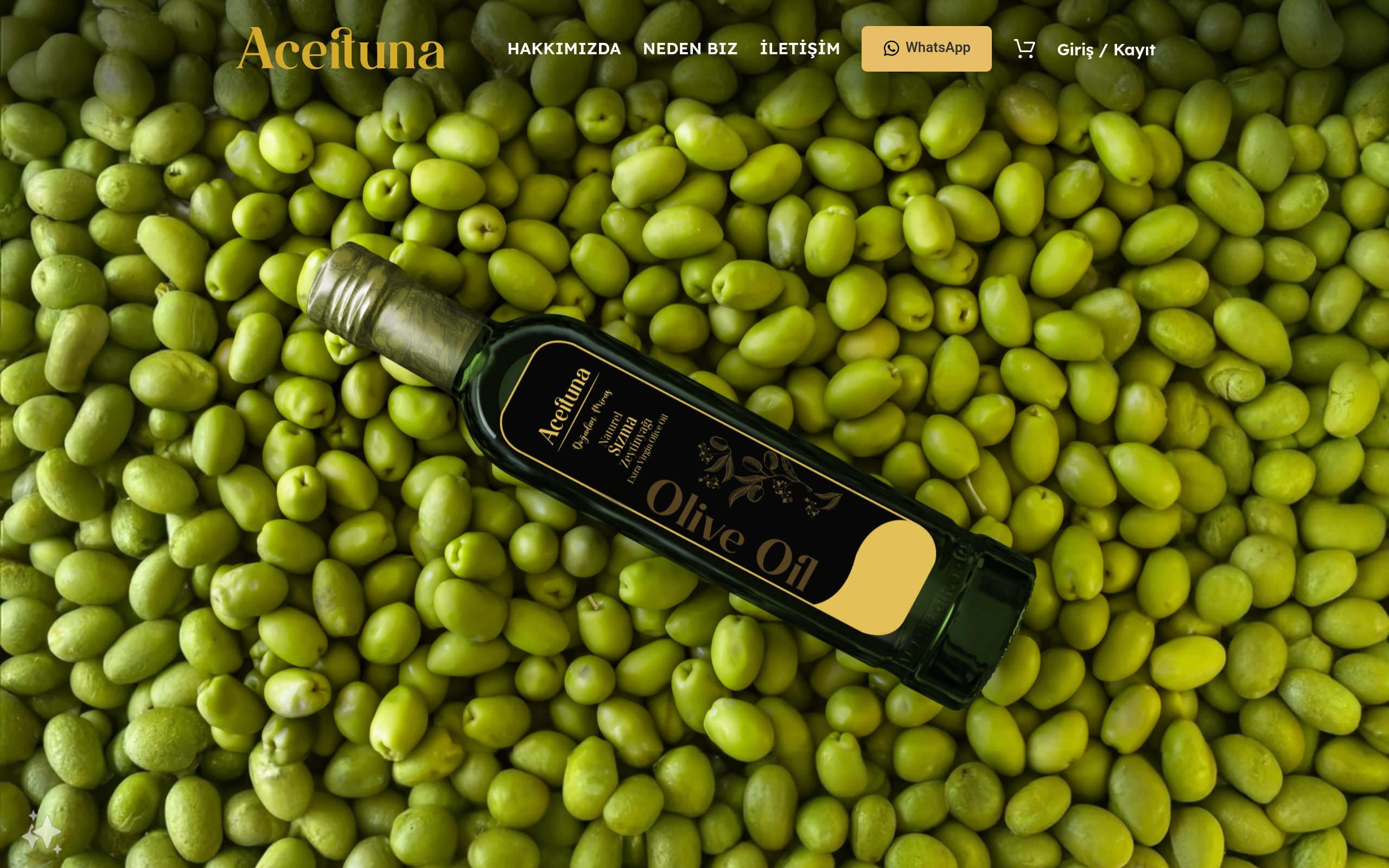 Aceituna Oil Magaza website preview