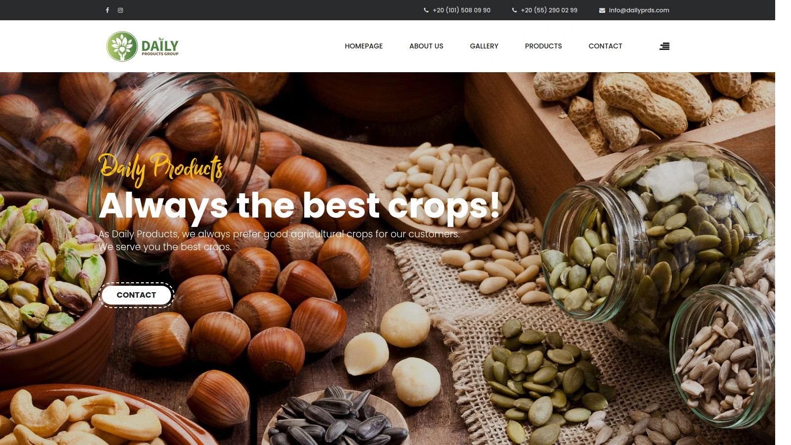Daily Products Group website preview